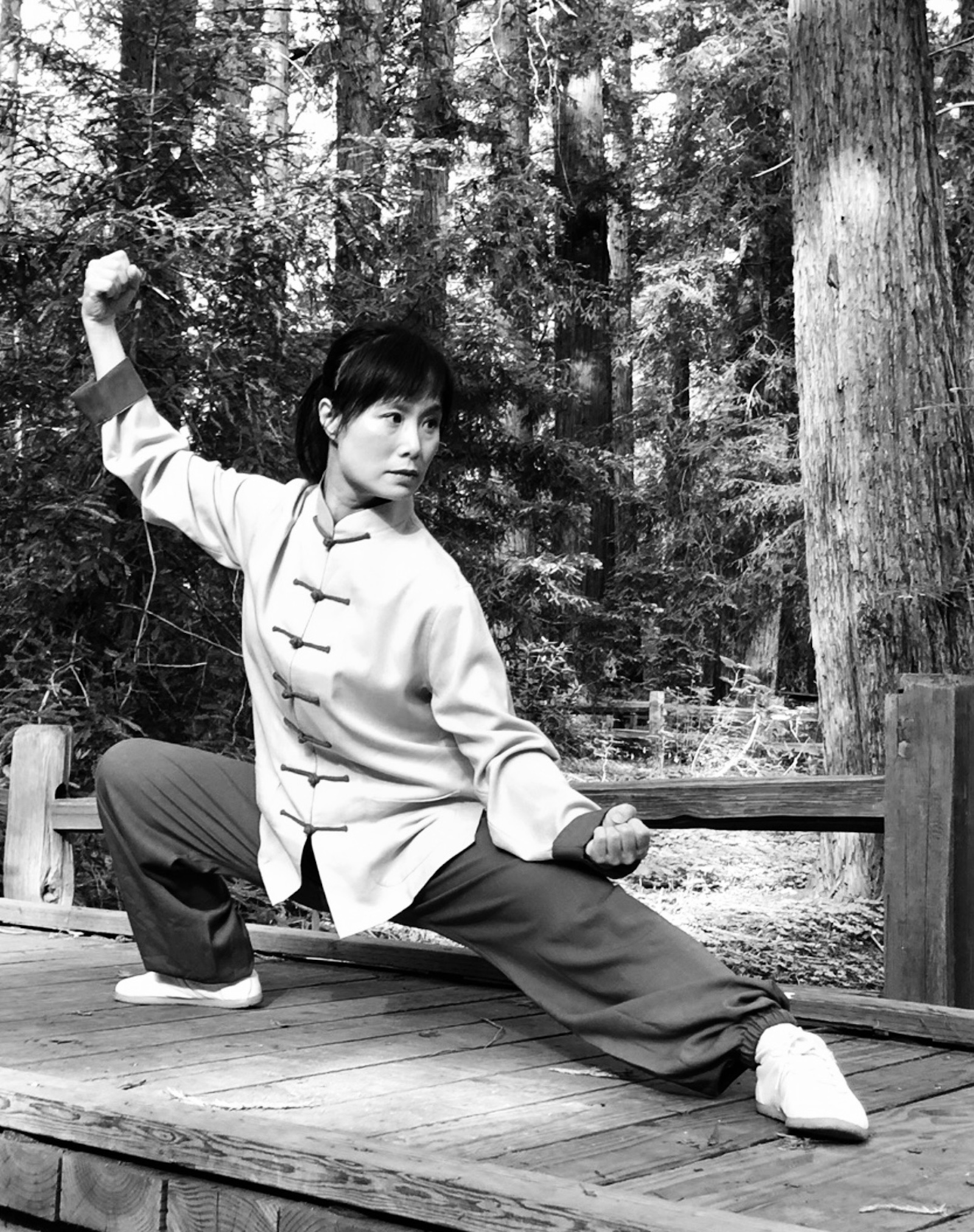Tai Chi balance training