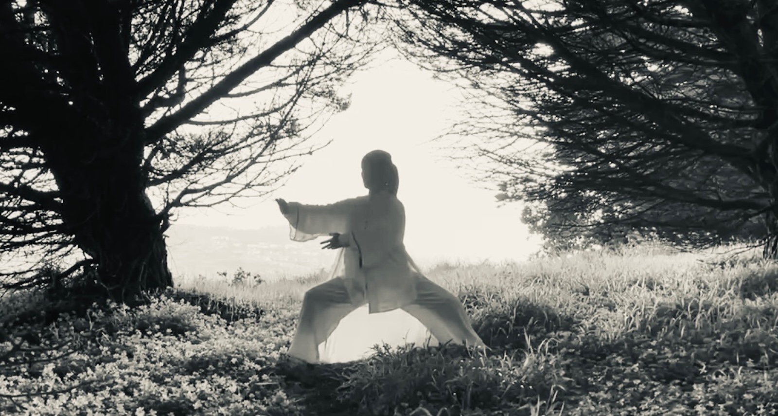 Tai Chi bucket training moment